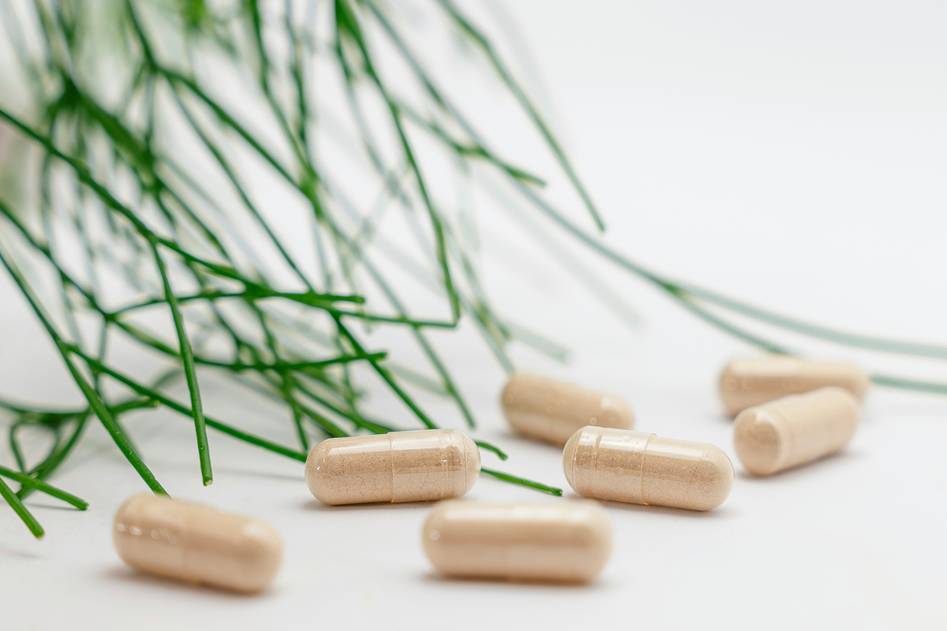 Kelp supplement bottle with fresh seaweed on wooden table for pet wellness blog